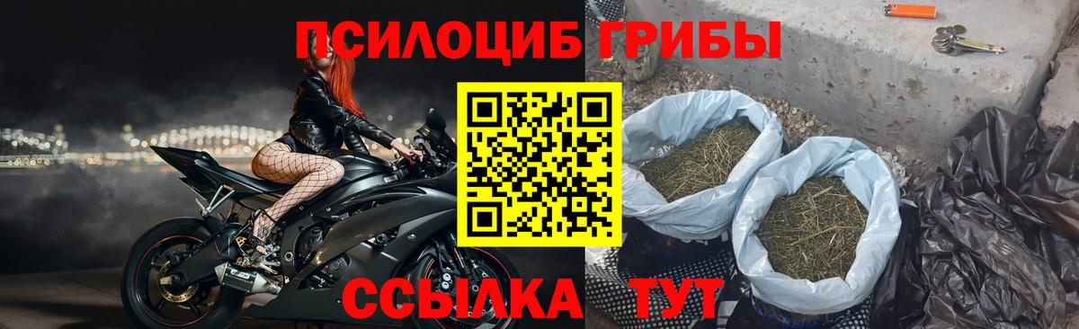 Псилоцибиновые грибы GOLDEN TEACHER  Псилоцибиновые грибы Psilocybine cubensis  Вход с VPN  Качканар 